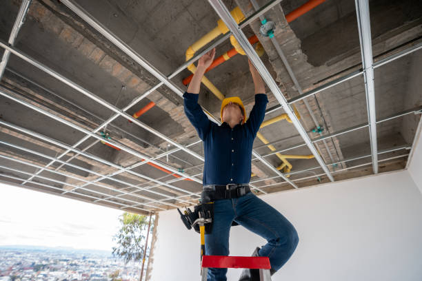 Best Shower Repair Services  in Mead, CO