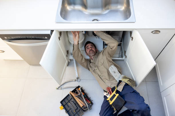 Best Plumbing Repair Near Me  in Mead, CO