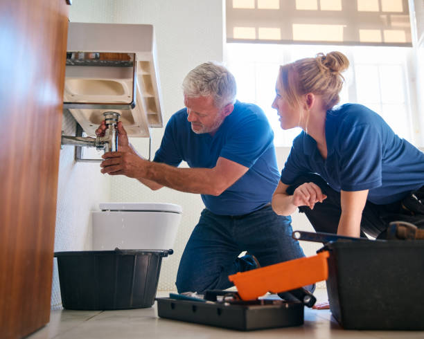 Best Plumbing Services Near Me  in Mead, CO