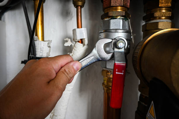 Best Toilet Repair Services  in Mead, CO